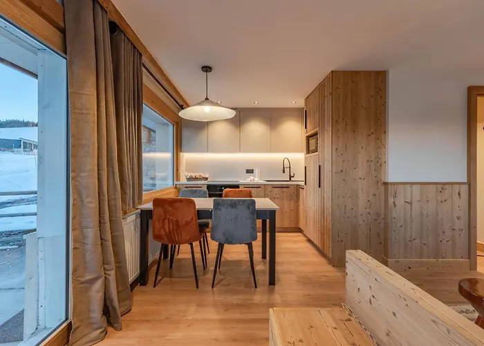 Alpin Renove Proche Pistes Et Commerces - - Fr-1-613a-42