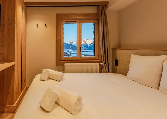 Alpin Renove Proche Pistes Et Commerces - - Fr-1-613a-42 *